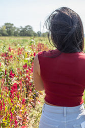 Simple Things Knit Top