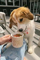 Dog Mom Campfire Mug