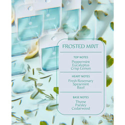 Power Mist Frosted Mint